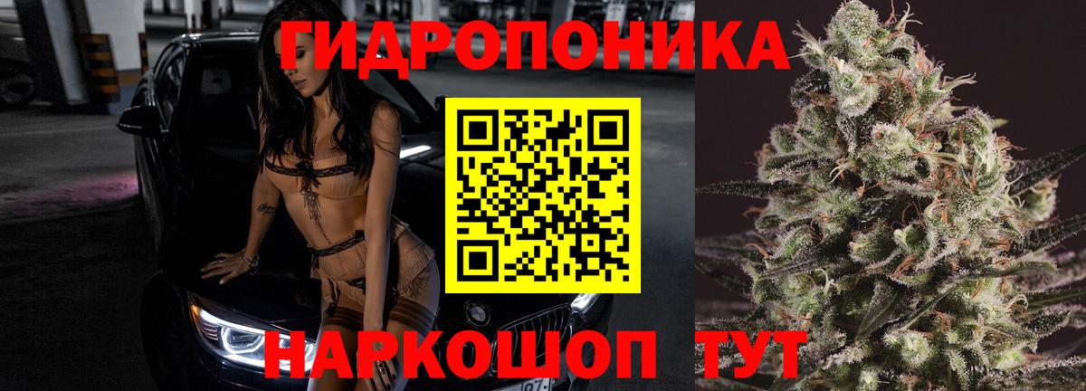 МАРИХУАНА White Widow Сертолово